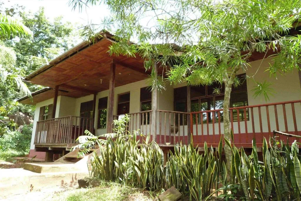 16573 jungle trek tour