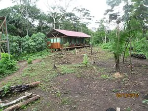 16573 tambopata national reserve