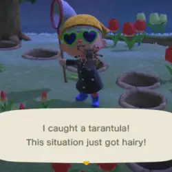 /img/16585-animal-crossing-tarantula-bite.webp