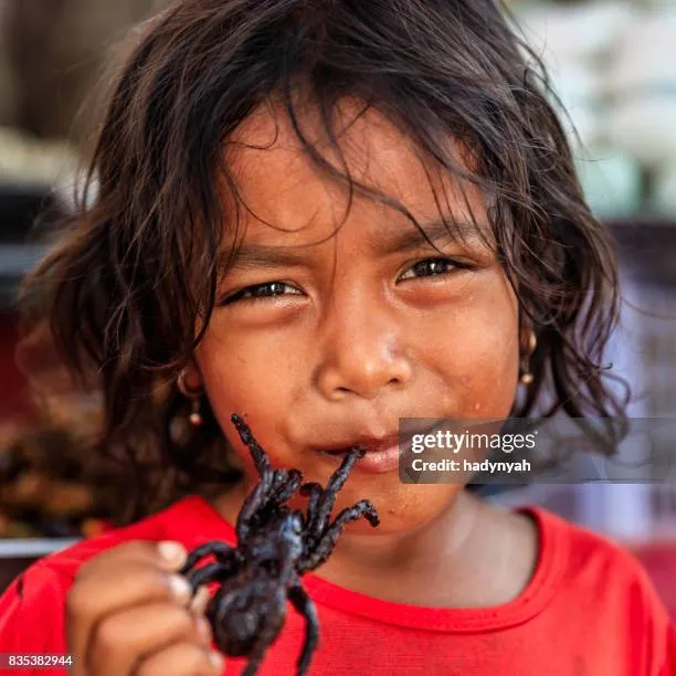 16586 roaches for tarantulas