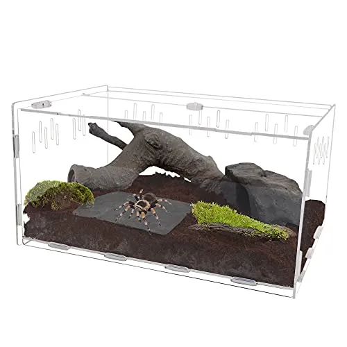 16588 tarantula substrate