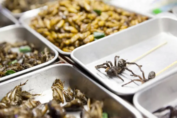 /img/16593-exotic-thai-dishes.webp