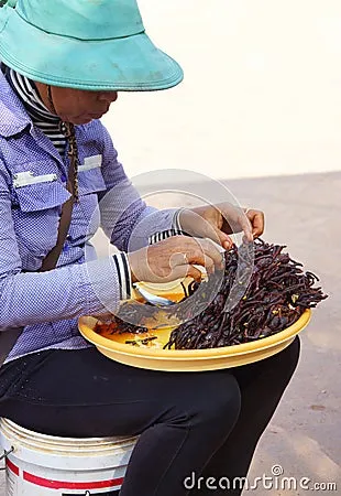 16593 fried tarantula close up
