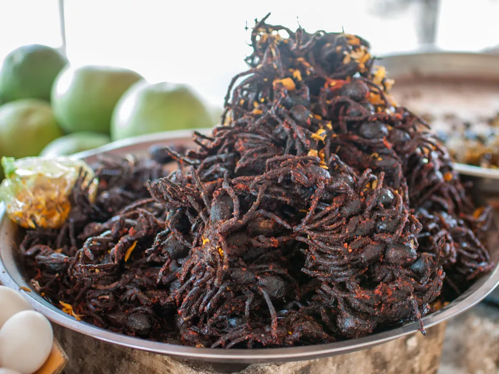 16593 fried tarantula eater