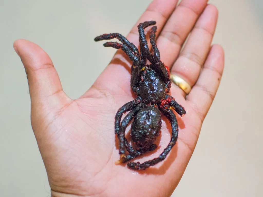 16593 fried tarantula plate