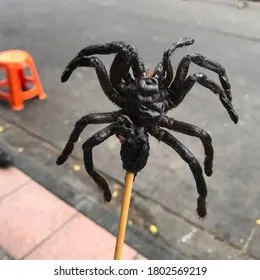 16593 fried tarantula thailand dish