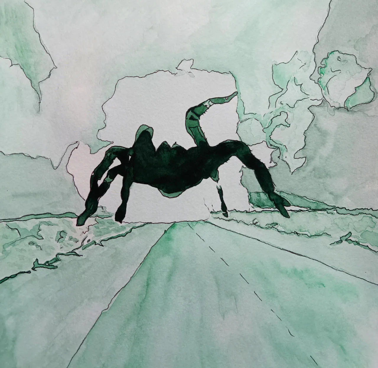 16594 tarantula wall art placement 4