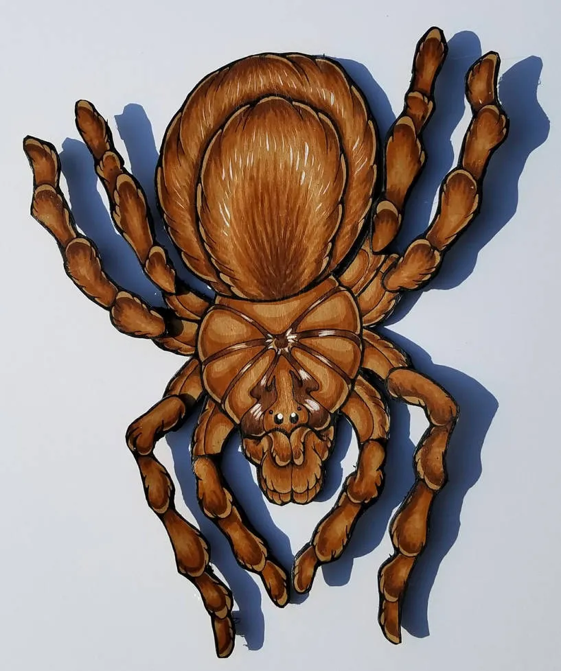 16594 tarantula wall art space 2