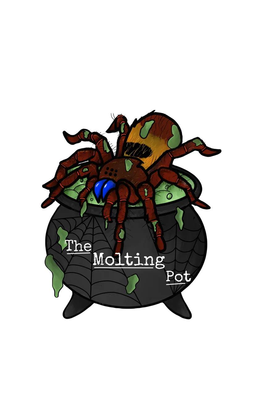 16596 tarantula handling