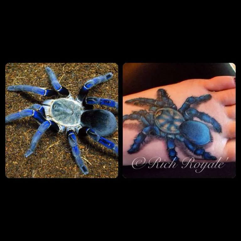 16598 mammal predator