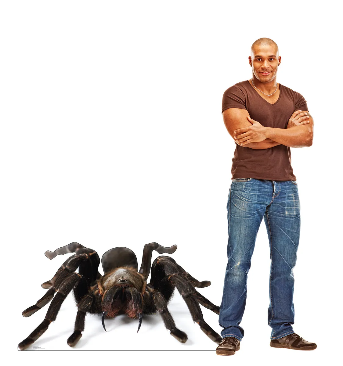 /img/16600-tarantula-future-research.webp