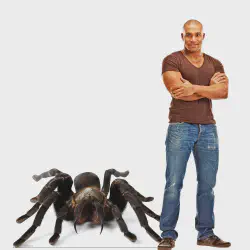 /img/16600-tarantula-future-research.webp