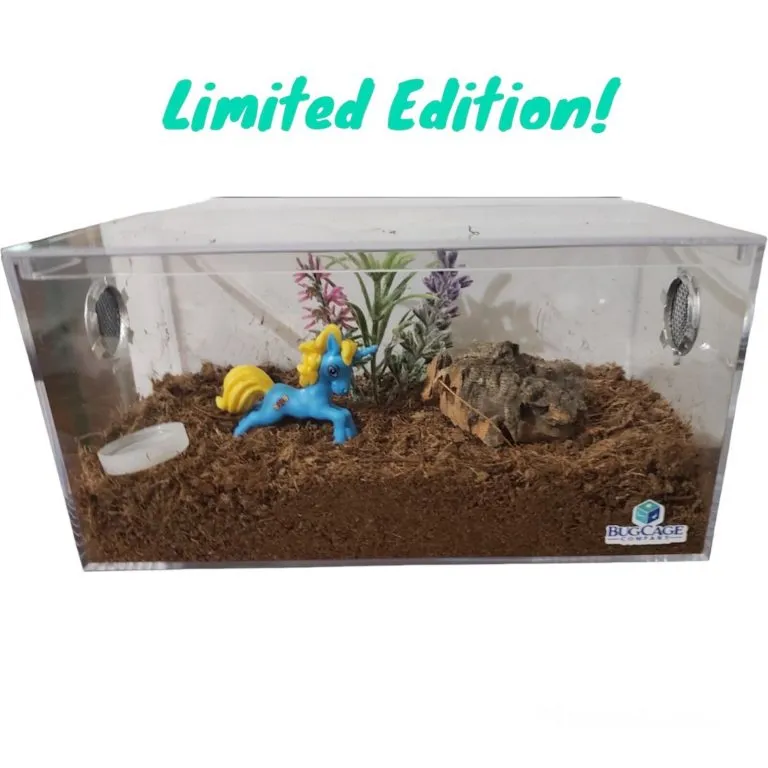 16610 tarantula cage lid sliding