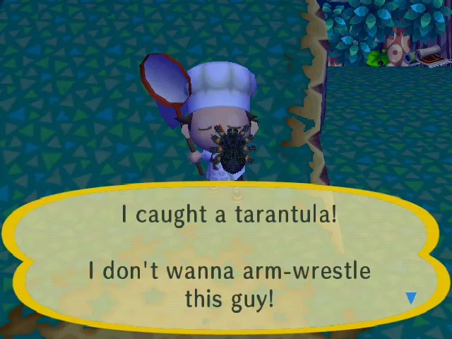 16618 animal crossing tarantula catching