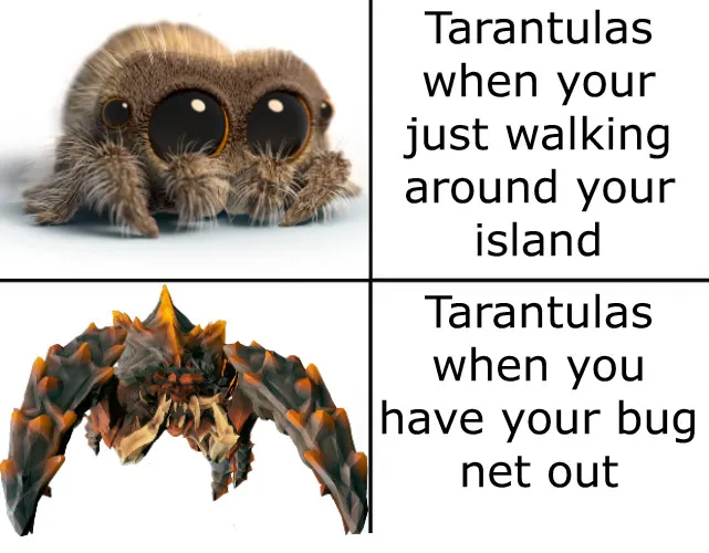 /img/16618-animal-crossing-tarantula-decor.webp