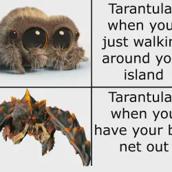 /img/16618-animal-crossing-tarantula-decor.webp