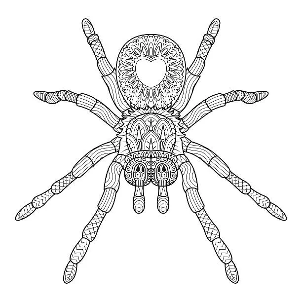 16621 tarantula digital art