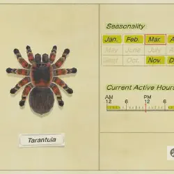 /img/16633-animal-crossing-bug-catching.webp