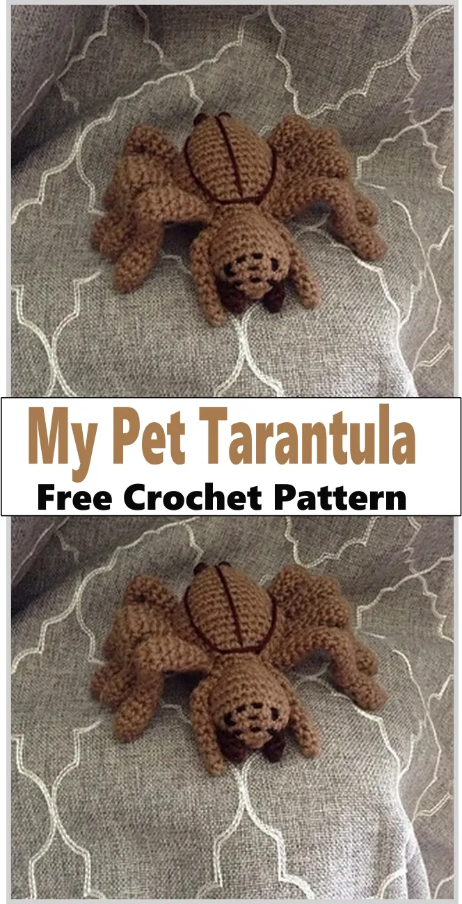 /img/16634-crochet-tarantula-finished.webp