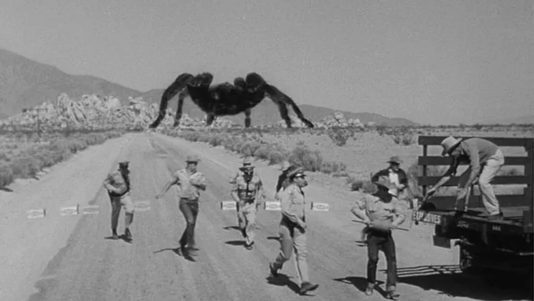 16646 animated tarantula