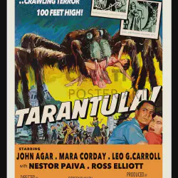 /img/16646-unique-tarantula-name.webp