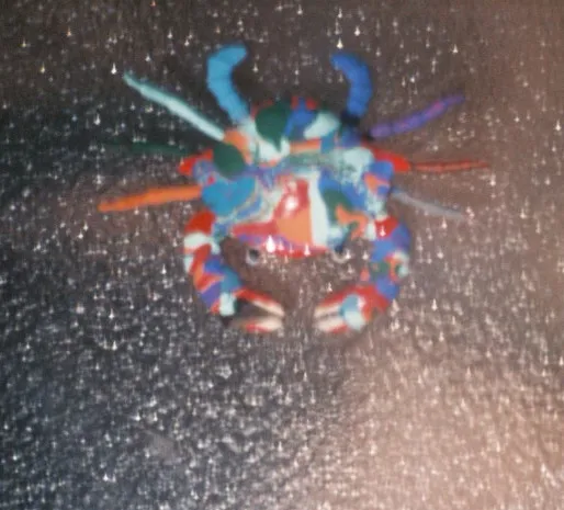 16652 tarantula water source