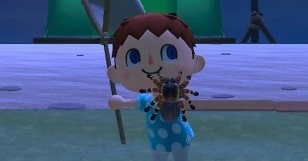 16672 animal crossing tarantula spawn