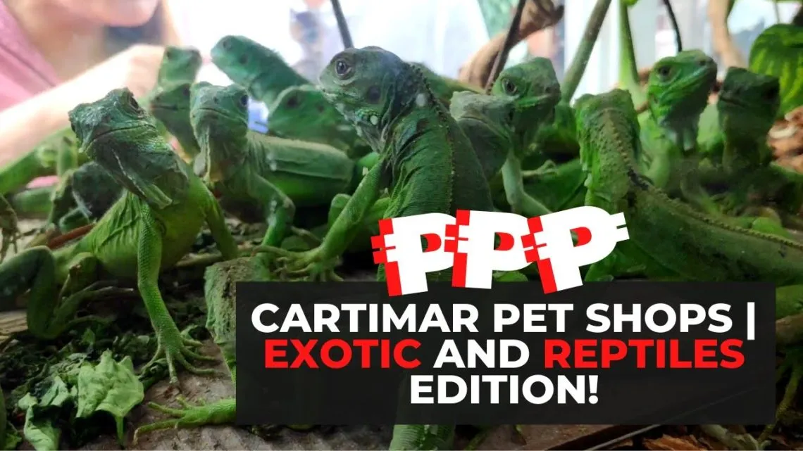 16681 cartimar pet shop supplies