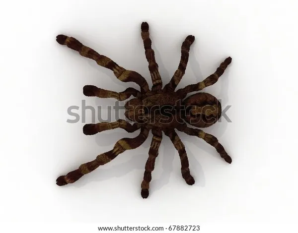 /img/16683-google-3d-animals.webp