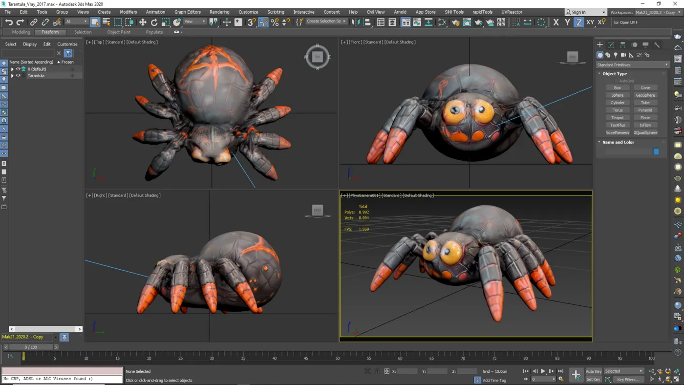 16683 tarantula anatomy