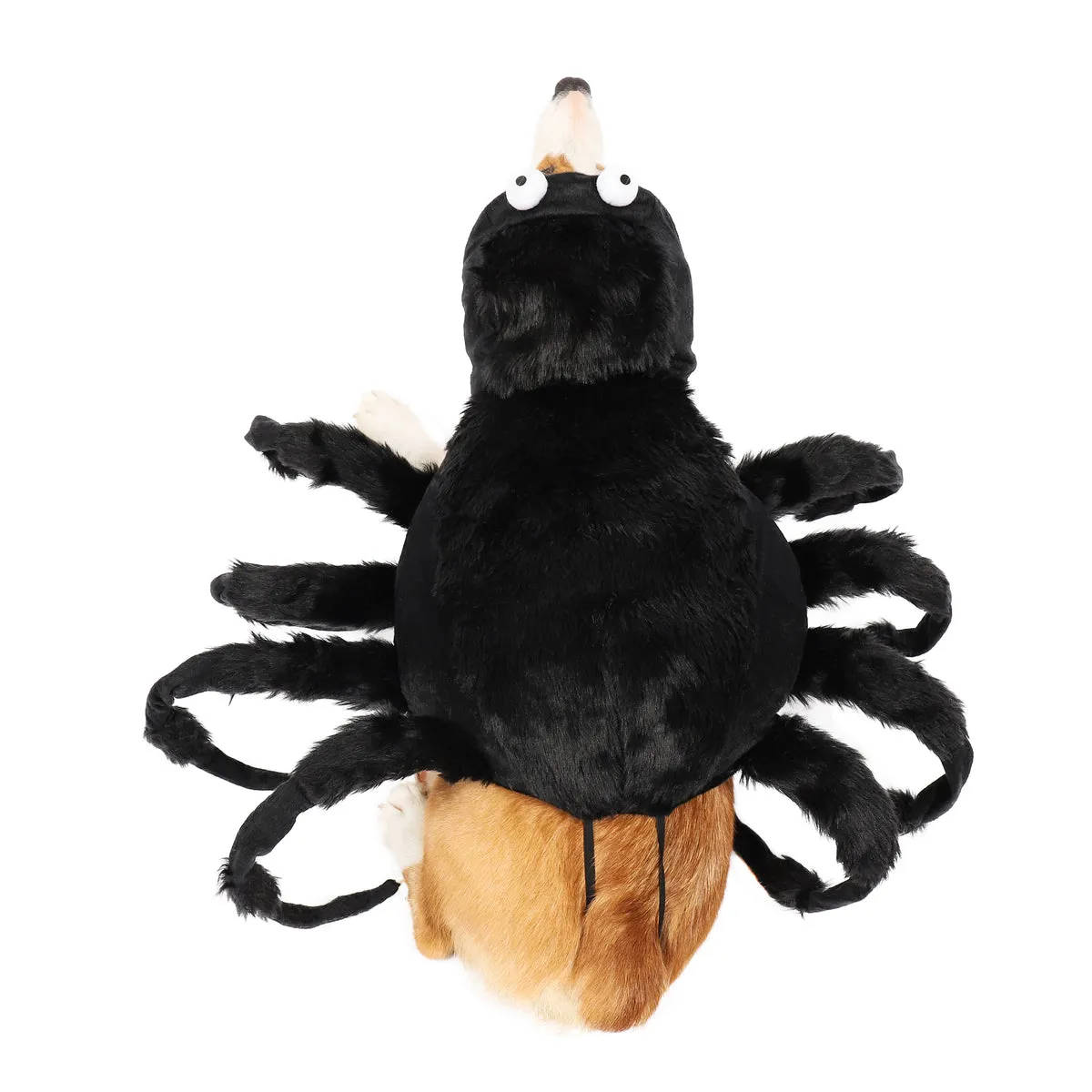 16686 tarantula enclosure