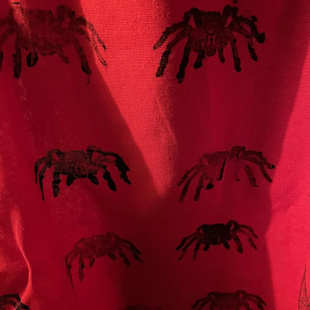 16688 cleaning tarantula bag