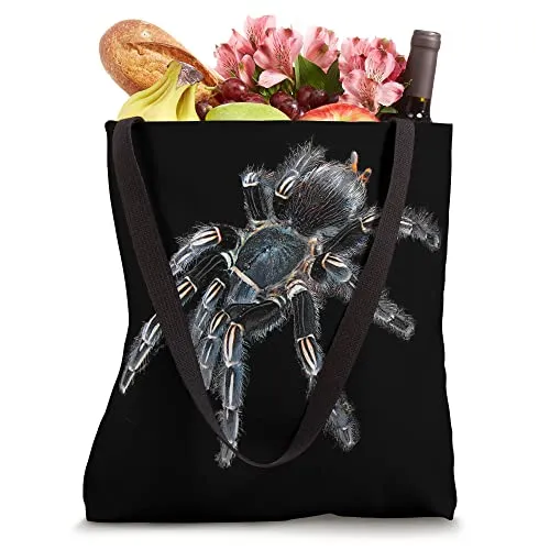 /img/16688-tarantula-bag-storage.webp