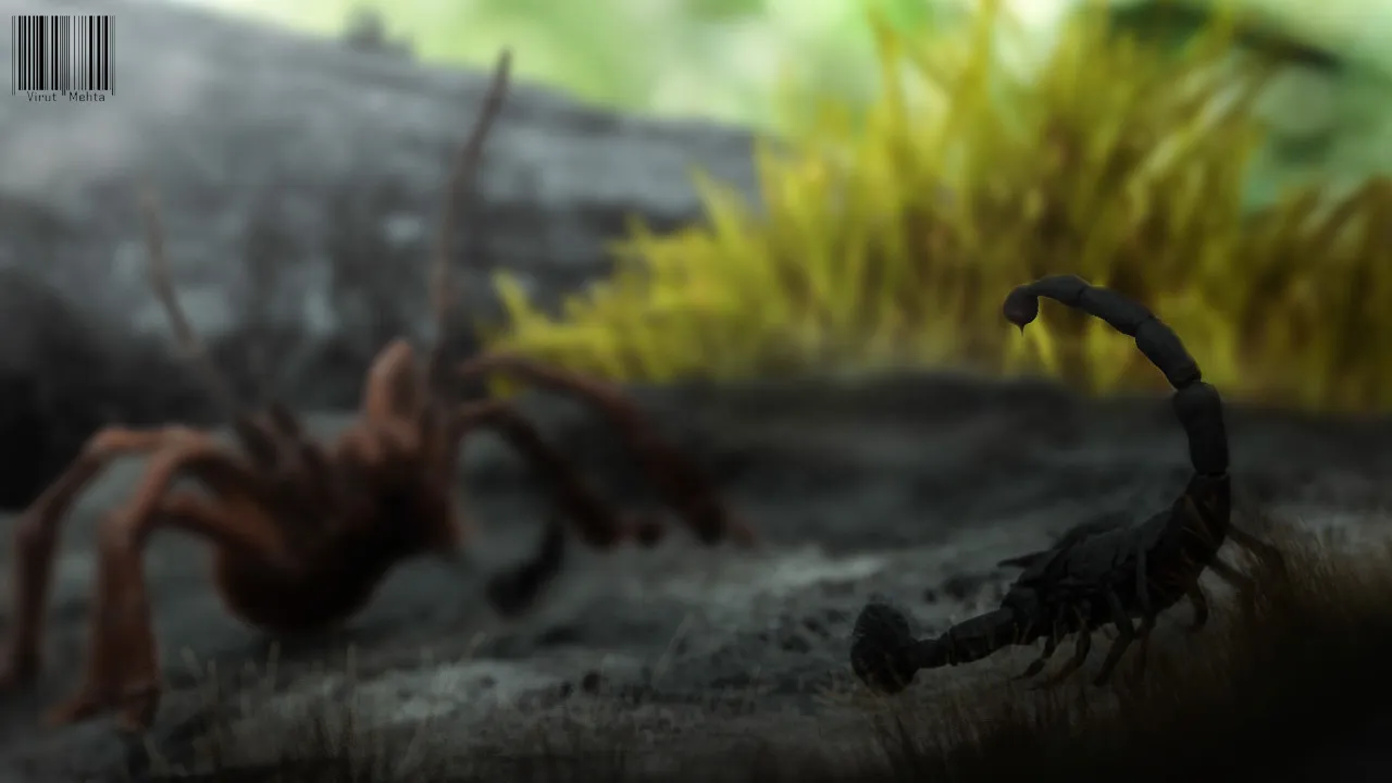 16703 emperor scorpion size