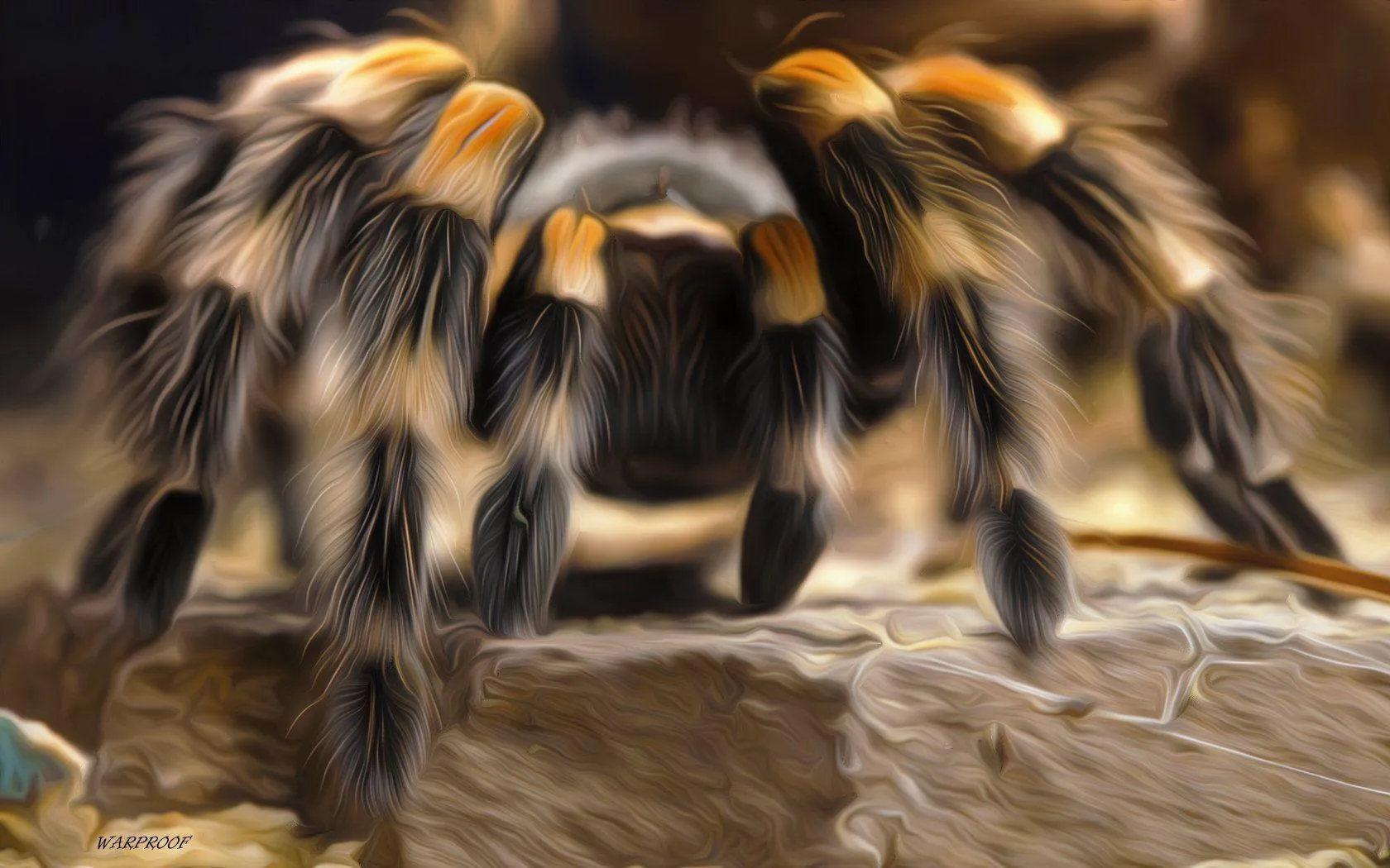 /img/16713-tarantula-image-7.webp