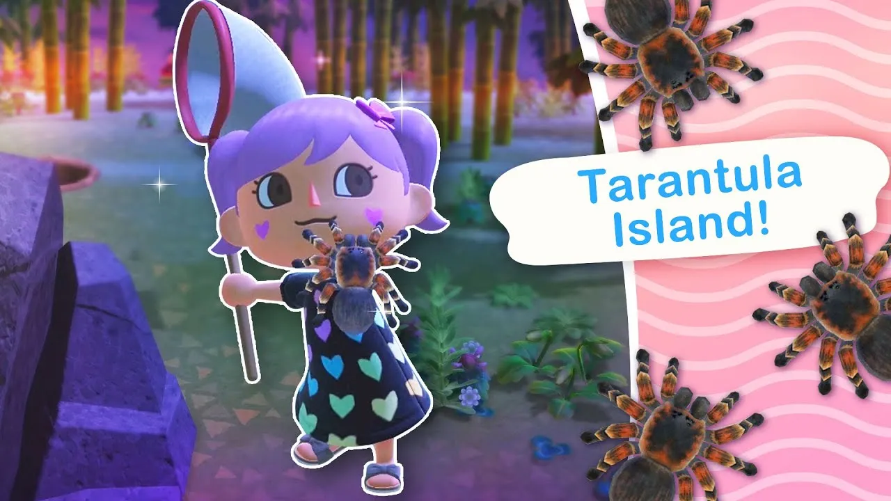 16722 catching tarantulas