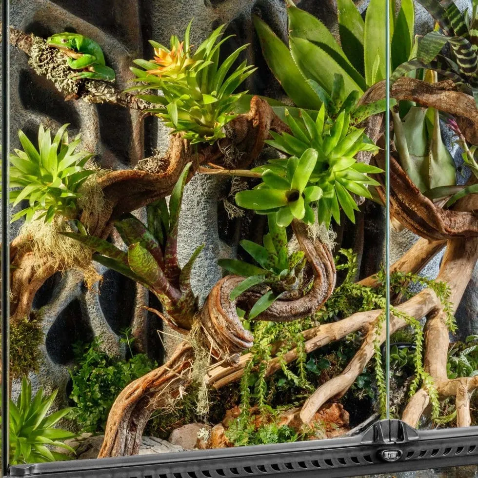 16746 exo terra terrarium overview