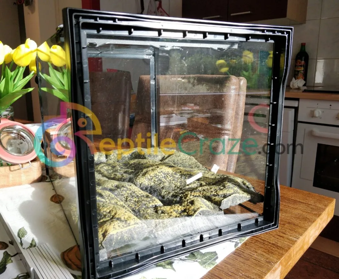 16746 terrarium decor tarantula