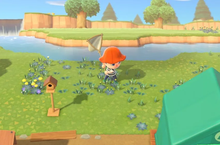 16754 animal crossing bug display