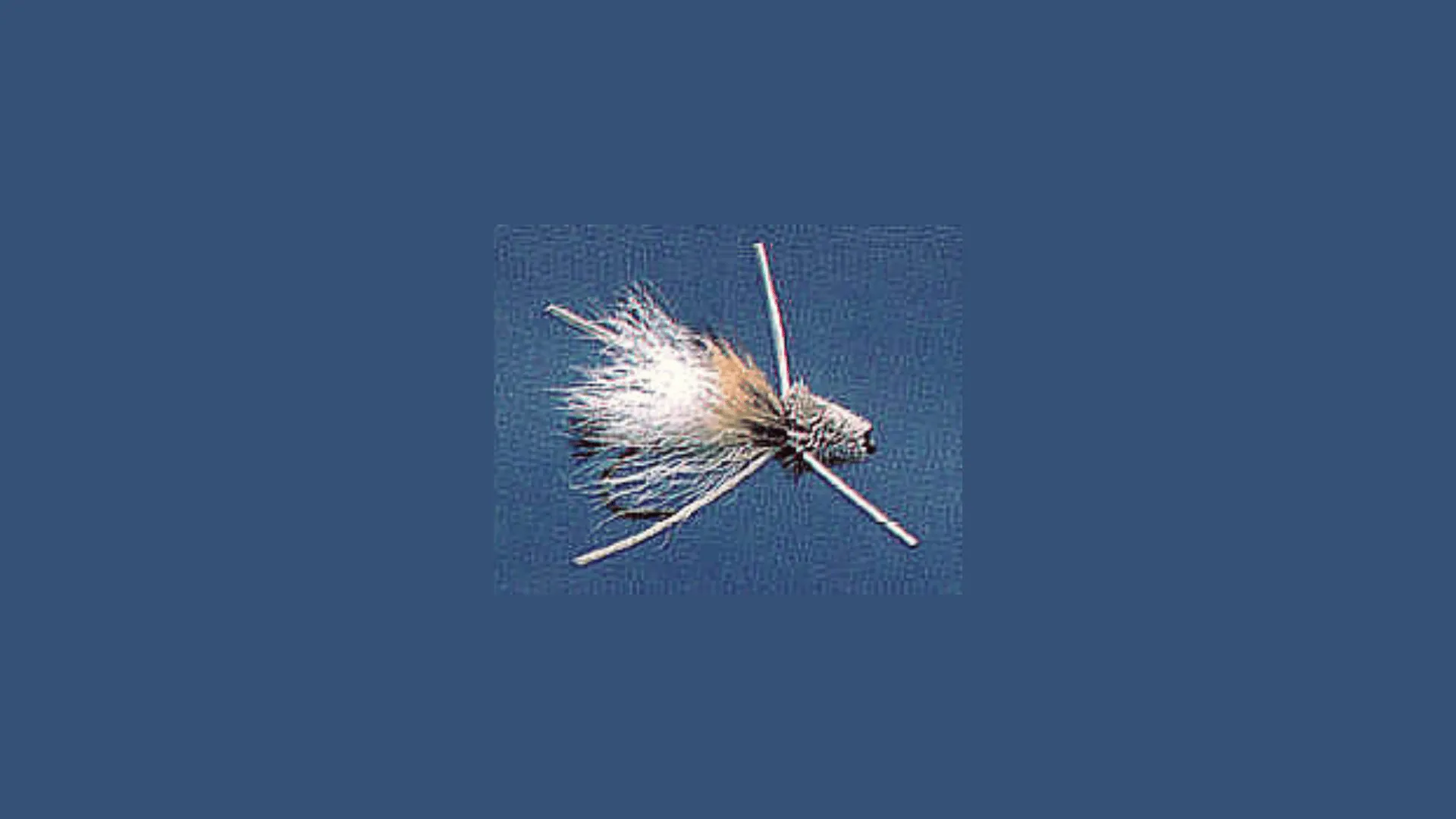 16768 tarantula turkey roasting