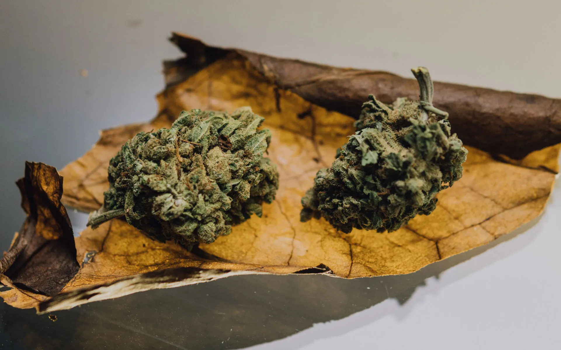 16769 blunt rolling process