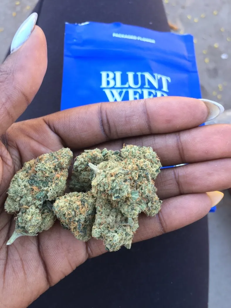 16769 tarantula blunt smoking
