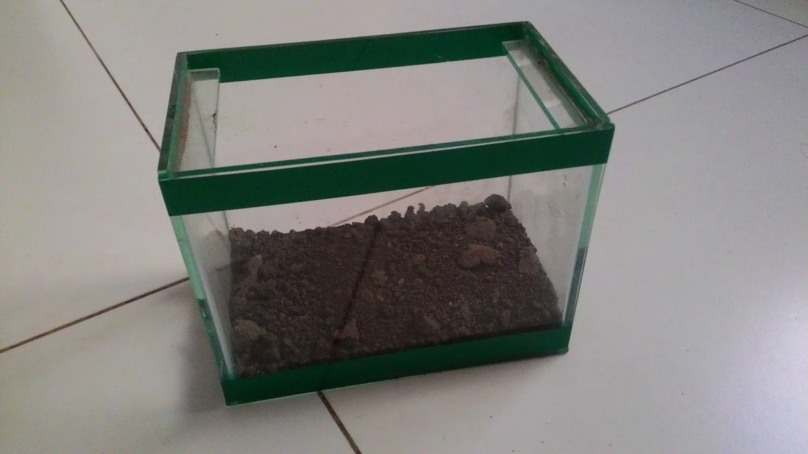 16770 terrario tarantula sustrato