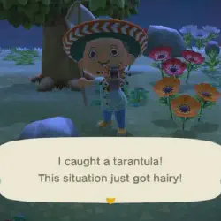 /img/16789-animal-crossing-tarantula-island-tips.webp