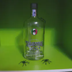 /img/16792-tarantula-tequila-cocktail.webp