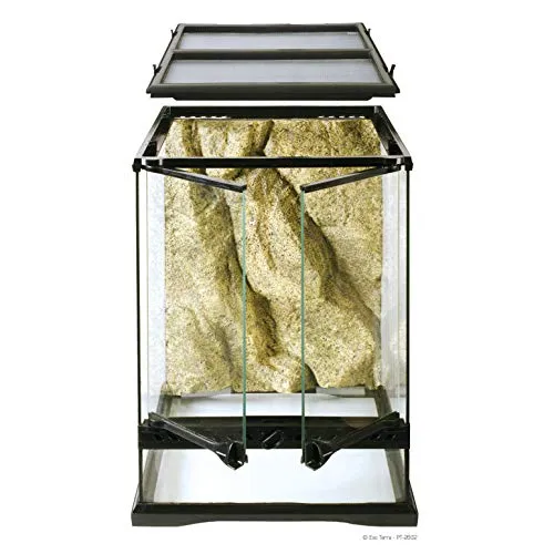 16799 clean tarantula enclosure