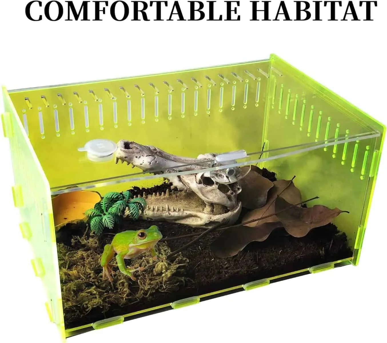 16799 new substrate tarantula