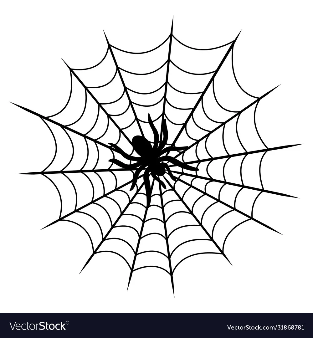 16809 birdeater tarantula web structure