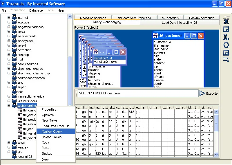 16818 web application development