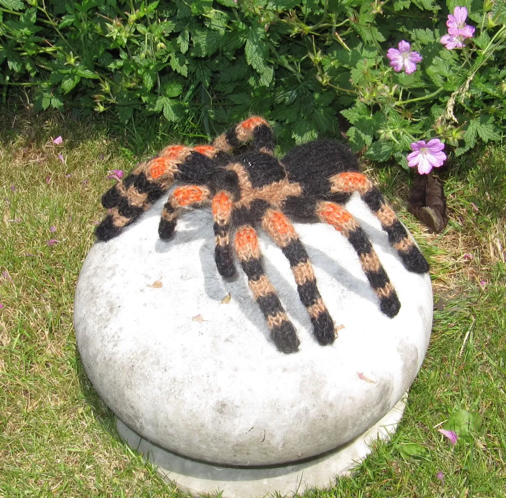 16822 tarantula humidity